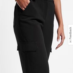 Express dressy cargo pants-make an offer 🙂